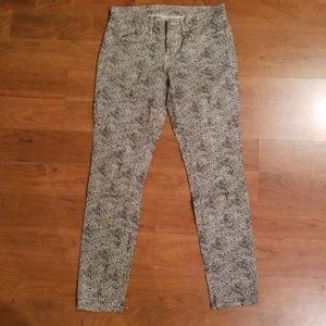 Women pants